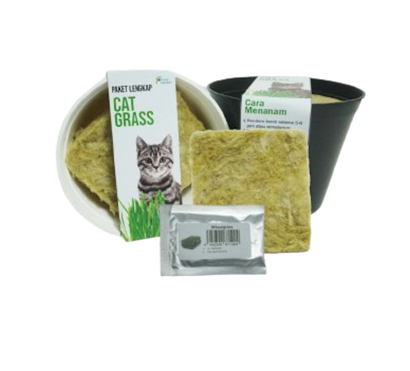 Purie Garden Paket Lengkap Rumput Kucing 1