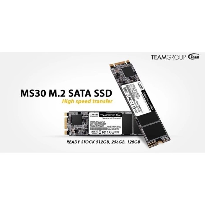 Team Group Team MS30 SSD SATA III 256 GB