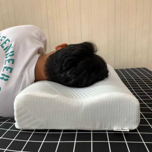  Sabchan Contour Memory Foam Pillow