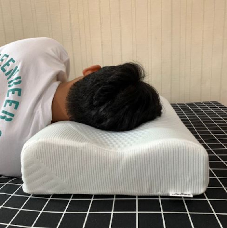 Sabchan Contour Memory Foam Pillow 4