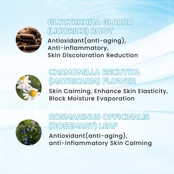 Surya Dermato Medica Labs Topicare Body Wash