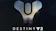 Bungie Inc. Destiny 2 1