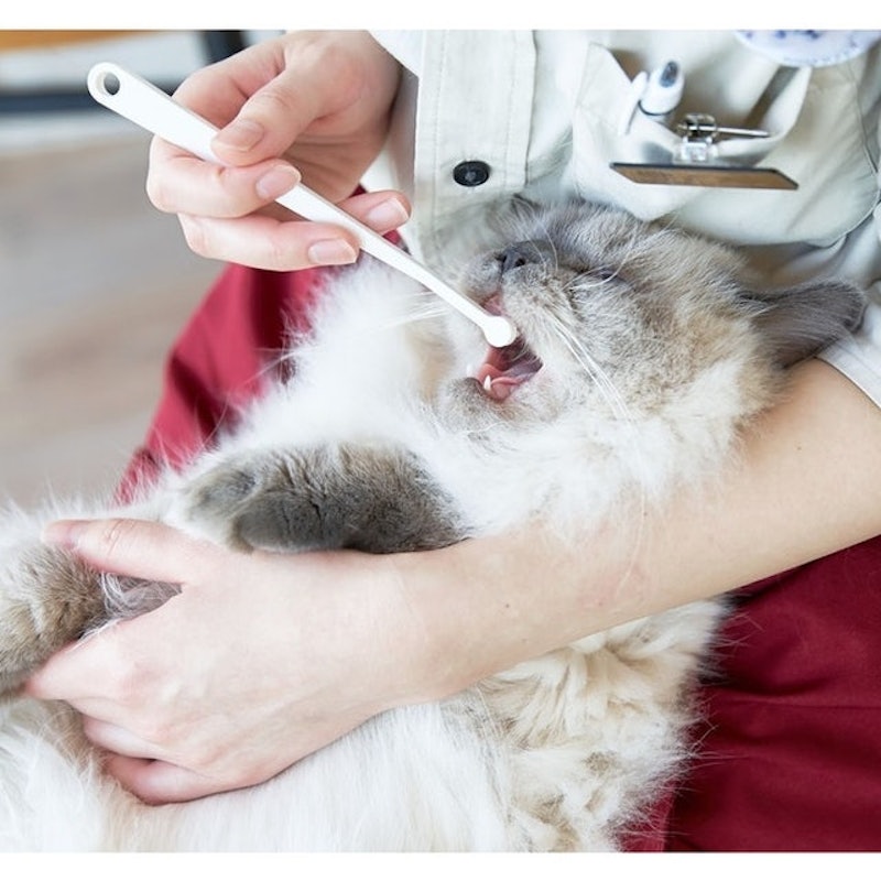 Dental Hygiene Set for Cats