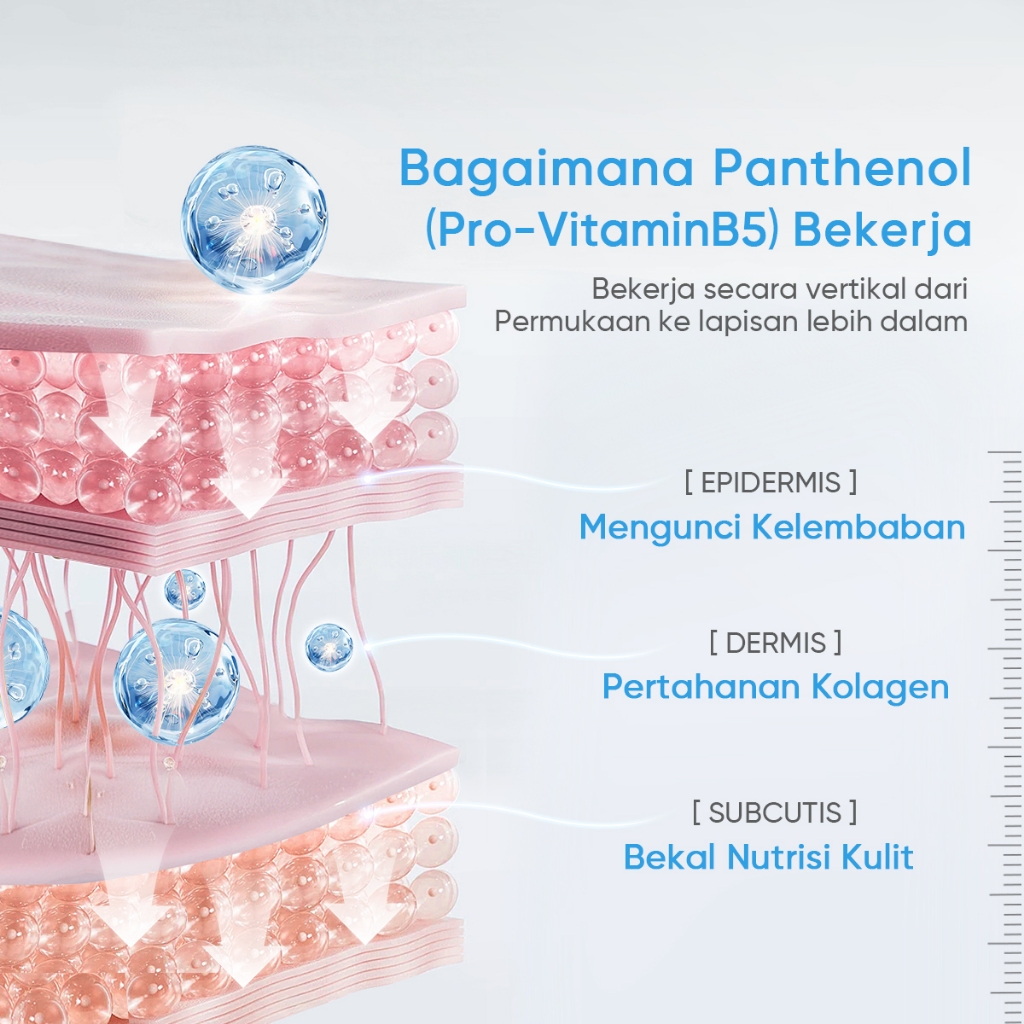  Facerinna Ceramide B5 Balancing Moisturizer