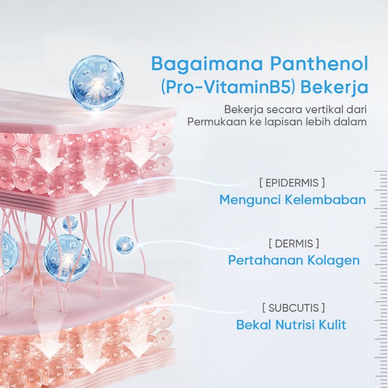 Facerinna Ceramide B5 Balancing Moisturizer 4