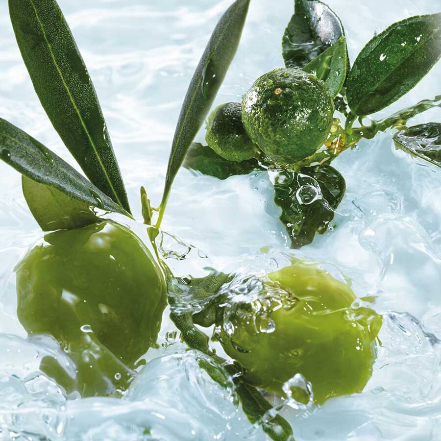 Yves Rocher Olive & Petitgrain Relaxing Body Lotion