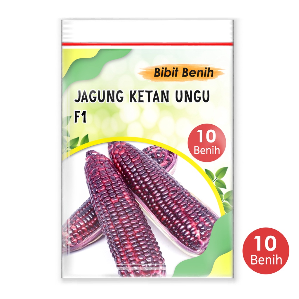 Nada Fast Benih Jaya Benih Jagung Ketan Ungu F1 2