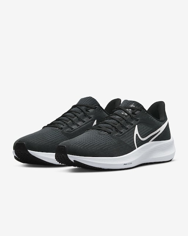 Air Zoom Pegasus 39