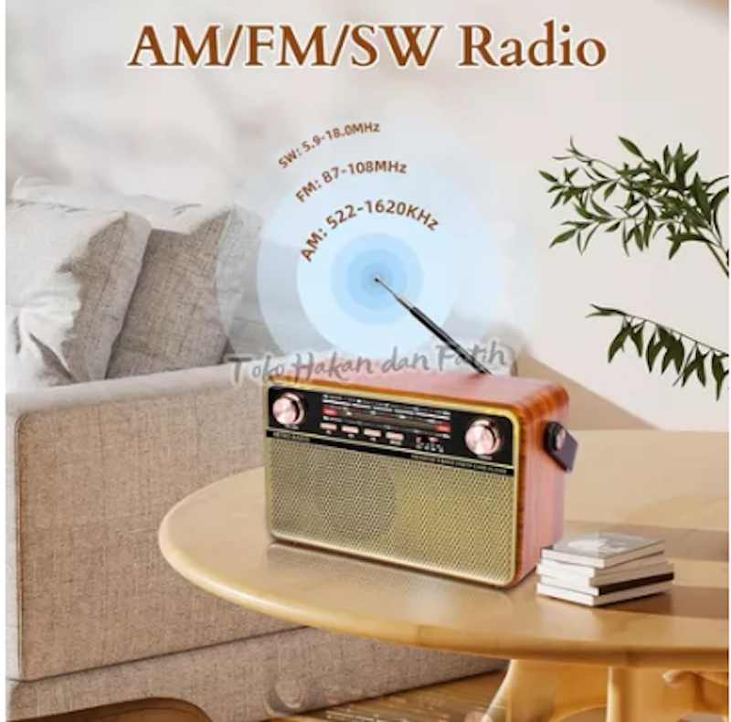 Fleco Radio Digital Portable 3