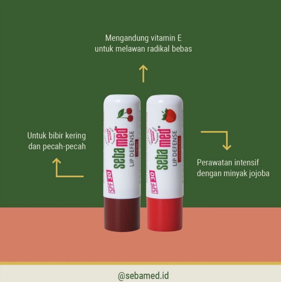 Sebapharma Sebamed® Lip Defense SPF 30 Original