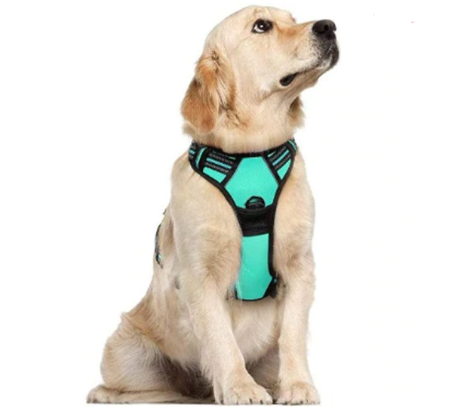 Rabbitgoo No Pull Dog Harness with 2 Leash Clips