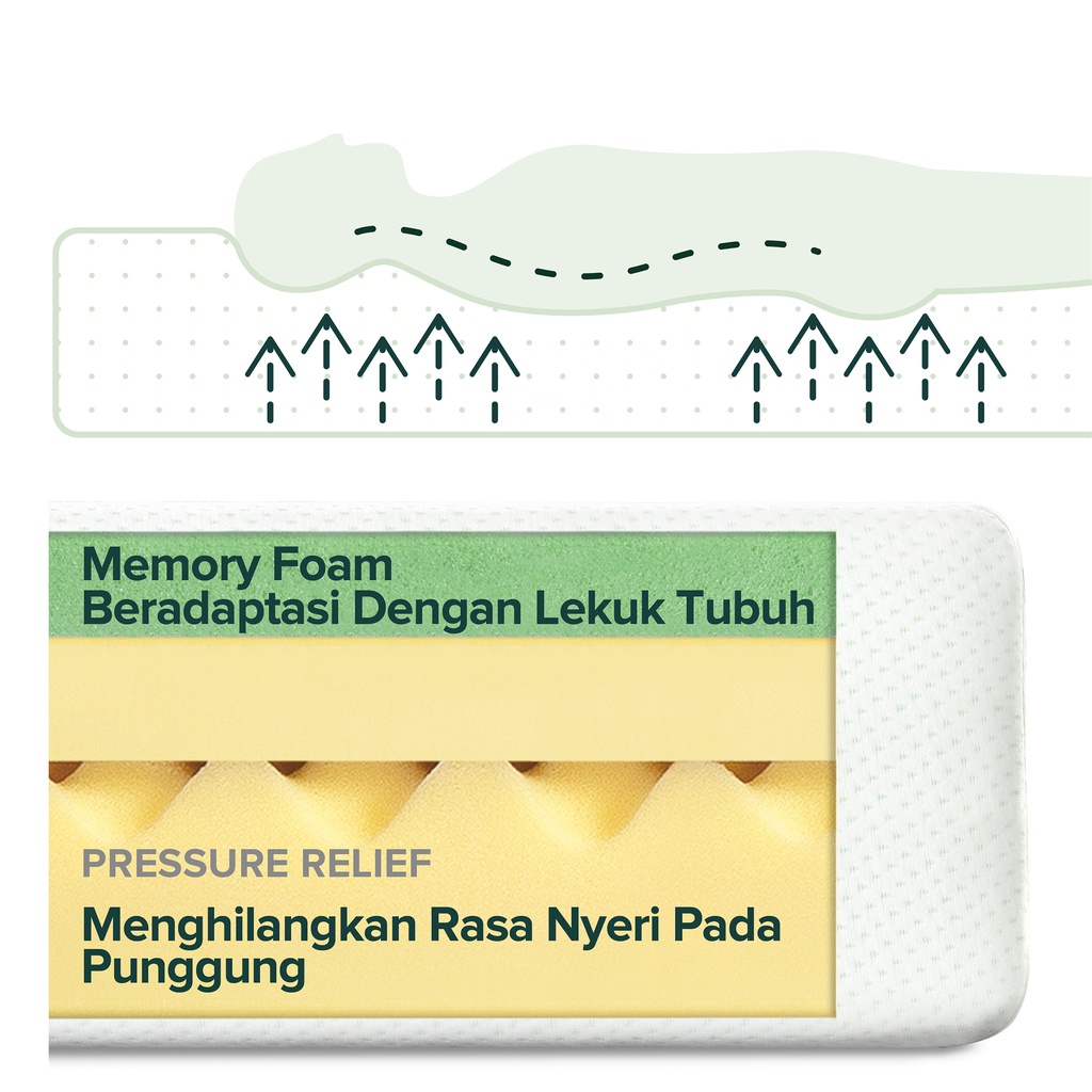 Zinus Kasur Green Tea Memory Foam 4