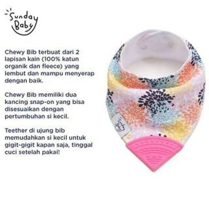 Chewy Bib 2