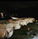 Igloo Glamping 1