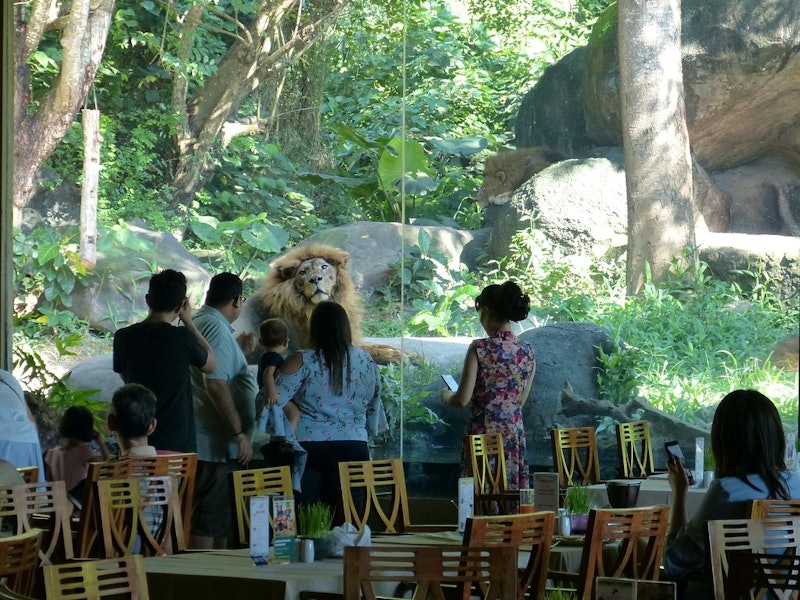 Tsavo Lion Restaurant 2