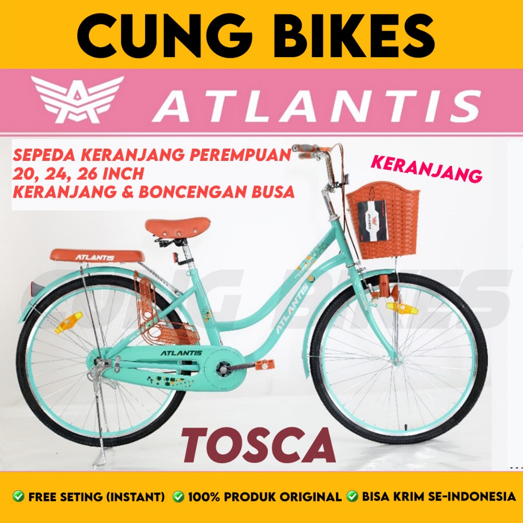 Shanghai Phoenix Bicycle Phoenix Sepeda Kota 26 inch NP-8825 AT