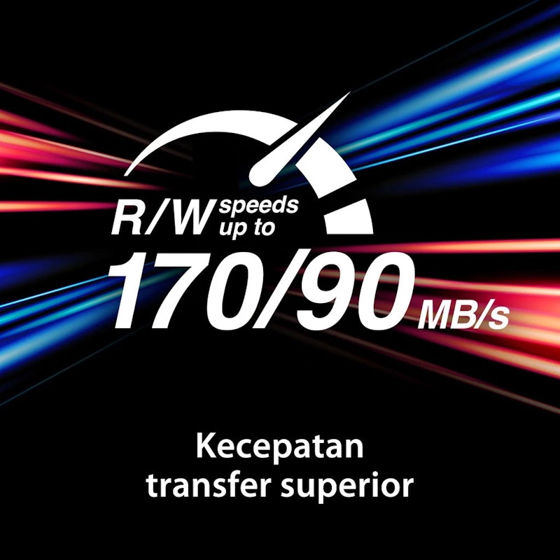 Kingston Canvas Go! Plus SD Memory Card 128GB 5