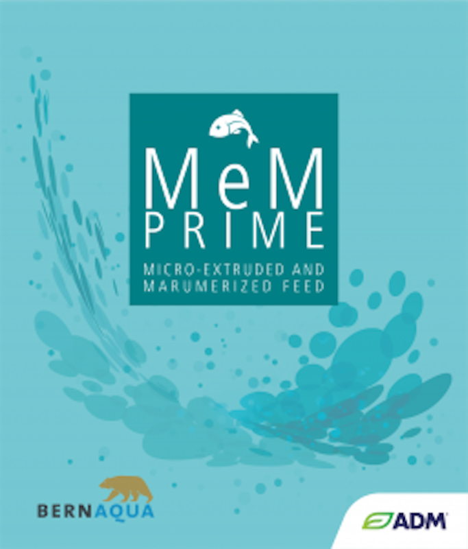 MeM Prime 1