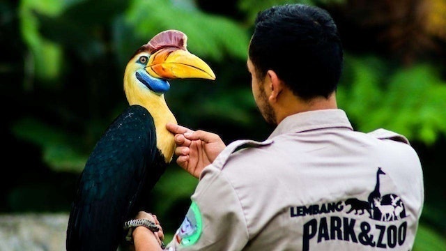 Lembang Park and Zoo 3
