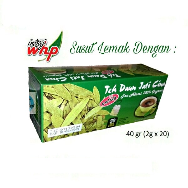 Teh Daun Jati Cina Teh Pelangsing Organic WHP 2