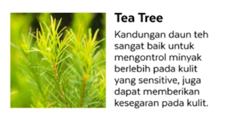 MISSHA Airy Fit Sheet Mask Tea Tree
