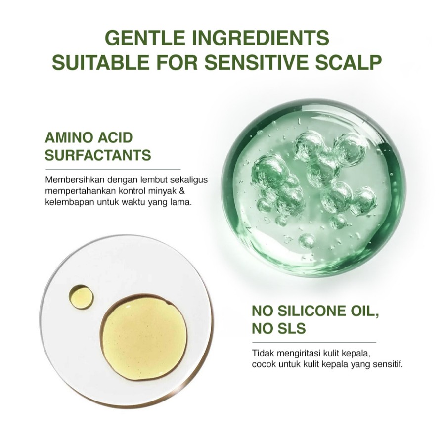 Aepura Kosmetik Indonesia aepura Red-Ginseng Hair-Activating Shampoo