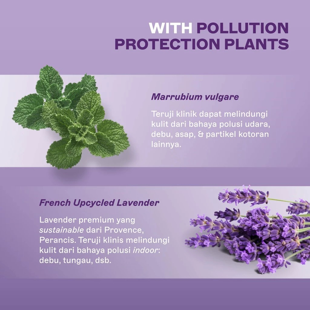 Parvis Magna Jaya Studio Tropik DreamSetter Airbrush Cover Cushion (W04)