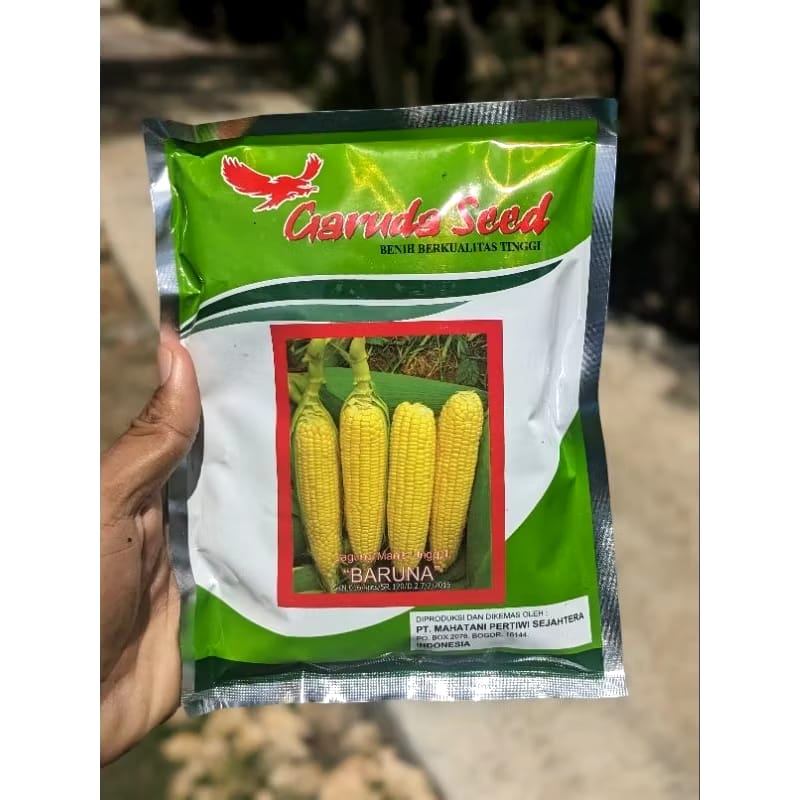 Mahatani Pertiwi Sejahtera Garuda Seed Benih Jagung Manis Baruna