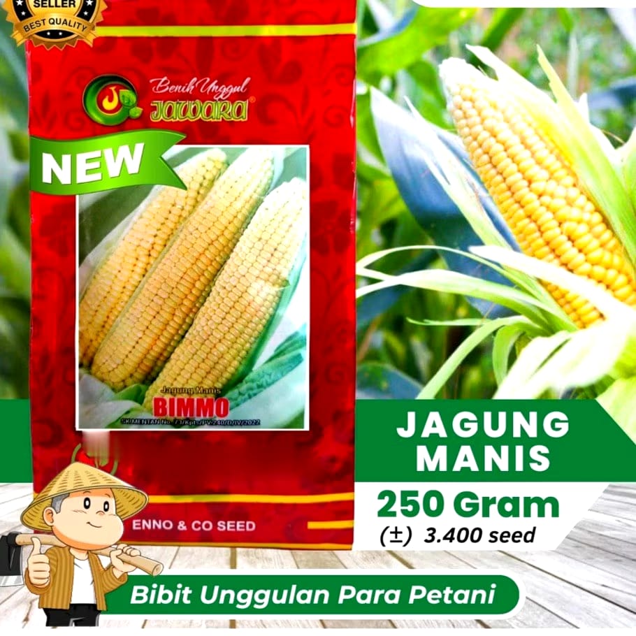 Enno & Co Seed  Benih Unggul Jawara Jagung Manis Bimmo