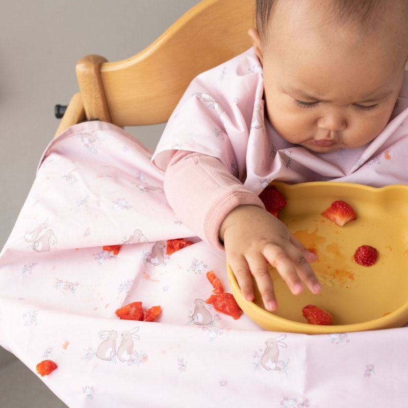 Coverall Weaning Bib 3