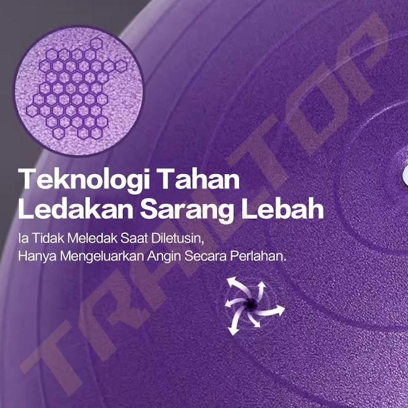 TRAILTOP Gym Ball 2