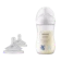 Philips Electronics Avent Natural Bottle 3.0 Deco Koala 260ml + Dot Natural Response 6M+ Flow Tercepat Bundle 1