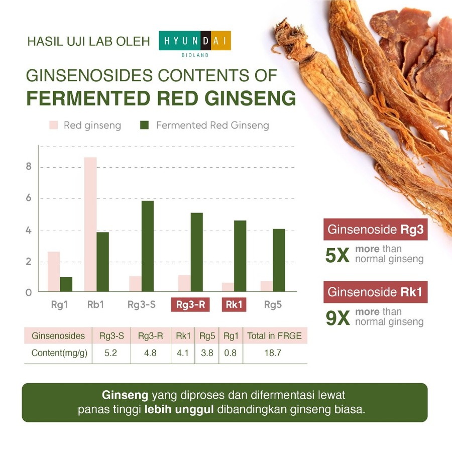 Aepura Kosmetik Indonesia aepura Red-Ginseng Hair-Activating Shampoo