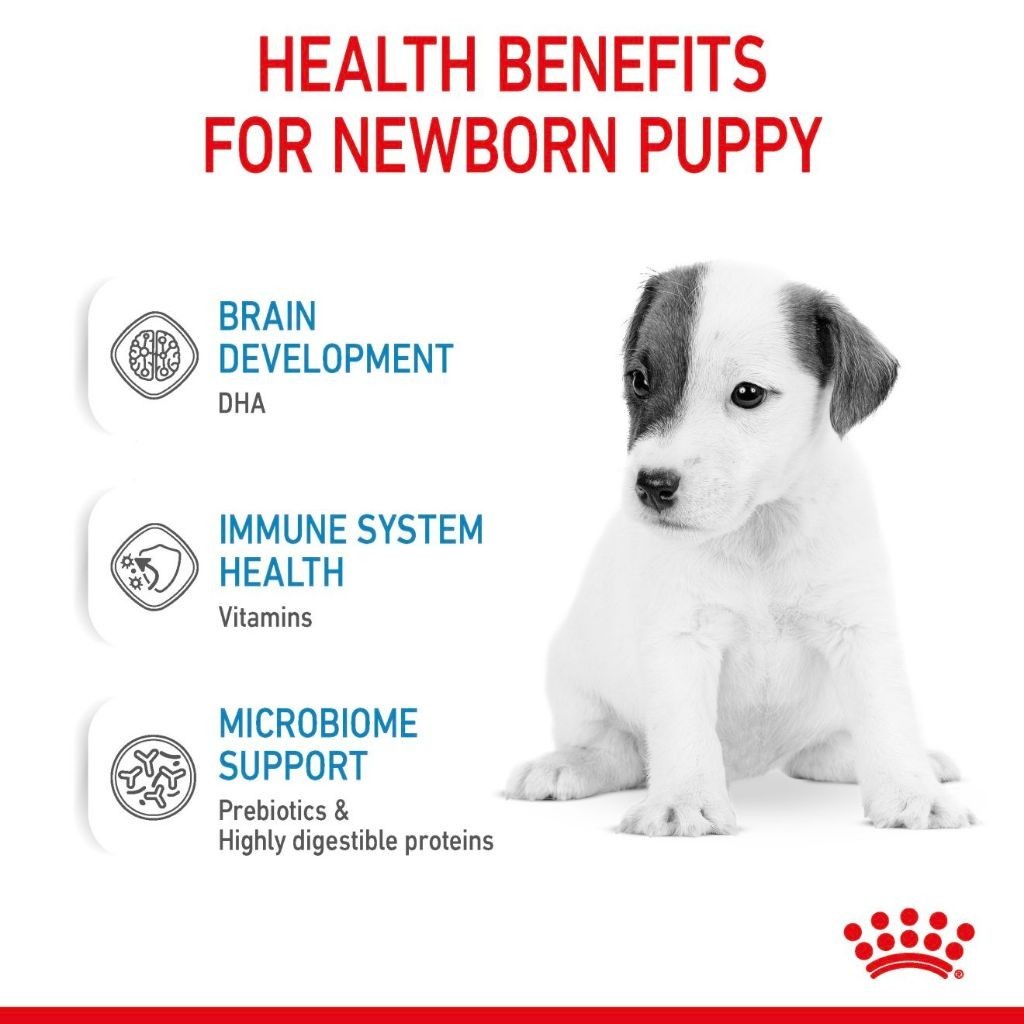 Royal Canin Babydog Milk 4