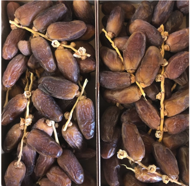  Palm'Frutt Fresh Deglet Nour Dates from Tunisia