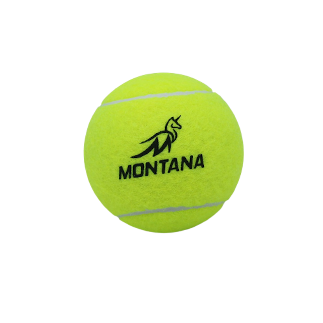 10 Rekomendasi Bola Tenis Terbaik (Terbaru Tahun 2025) mybest