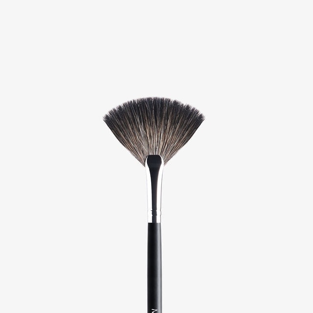 Fan Brush 2