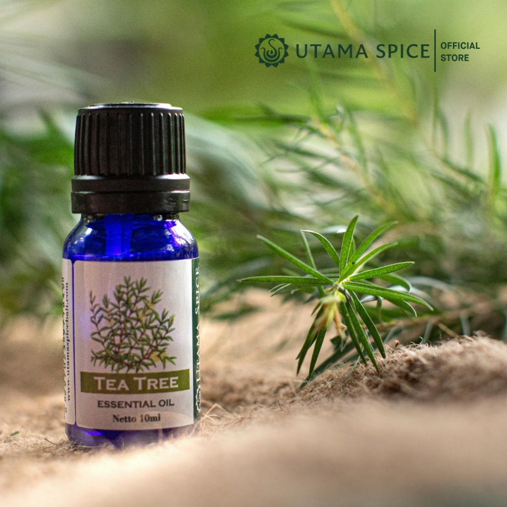 Utama Spice Tea Tree Essential Oil
