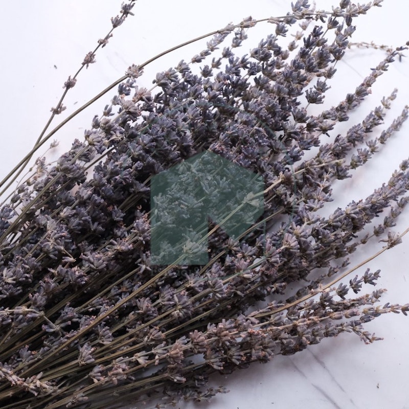 Bunga Kering Rustic Vintage Preserved Lavender 3