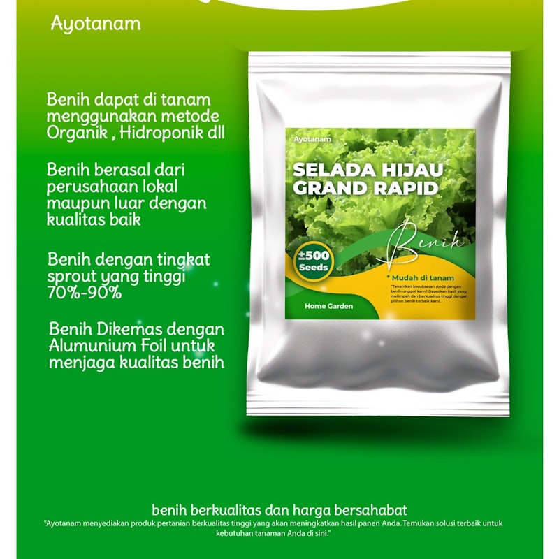 AYOTANAM Benih Selada Hijau Grand Rapid 3