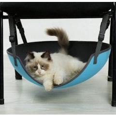 Cat Hammock