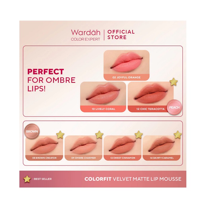 Paragon Technology and Innovation Wardah Colorfit Velvet Matte Lip Mousse 