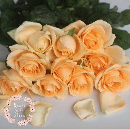  Bunga Mawar Potong Asli