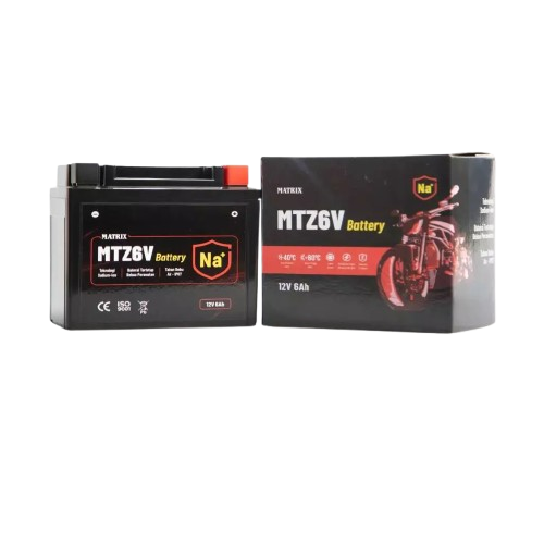 Matrix Sodium Ion Battery 1