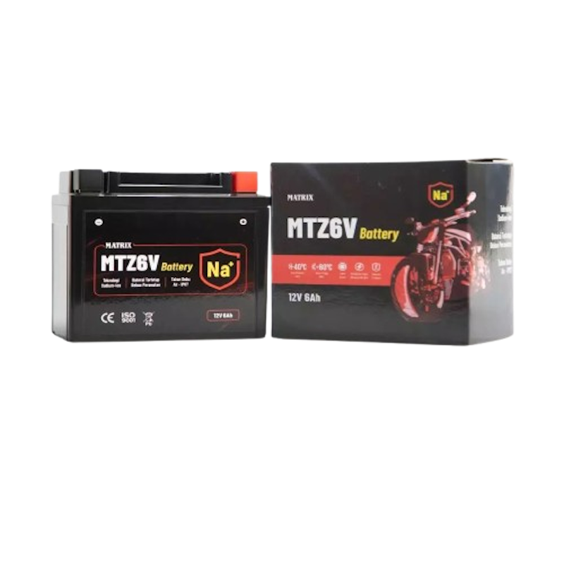 Matrix Sodium Ion Battery 1
