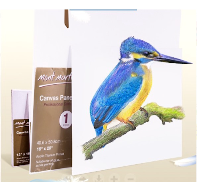 Canvas Panels Professional Series CMPL1318