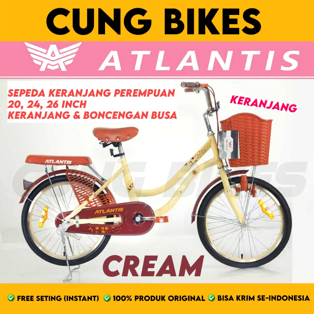 Shanghai Phoenix Bicycle Phoenix Sepeda Kota 26 inch NP-8825 AT