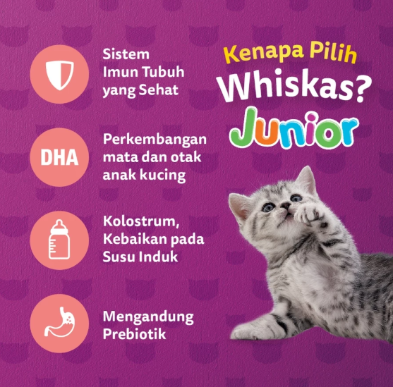 Mars Symbioscience Indonesia Whiskas Junior Ocean Fish 450 gram