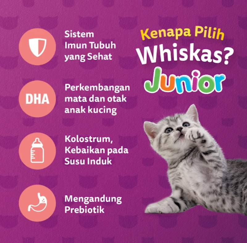 Whiskas Junior Ocean Fish 450 gram 4