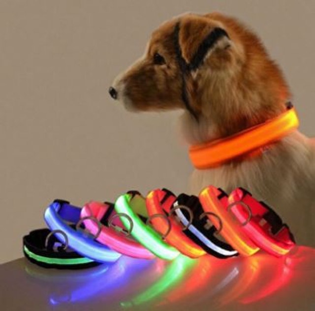 LED Pet Collar